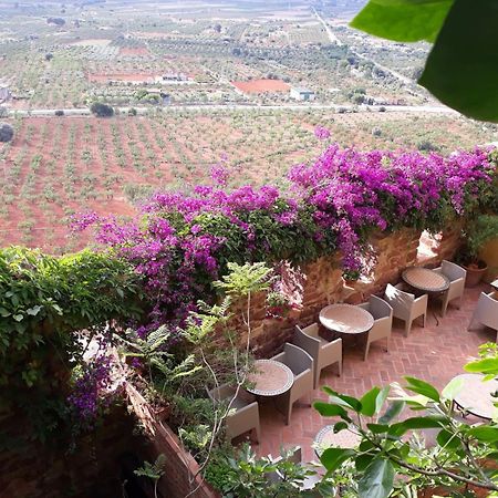 El Jardin Vertical Vilafamés Eksteriør billede
