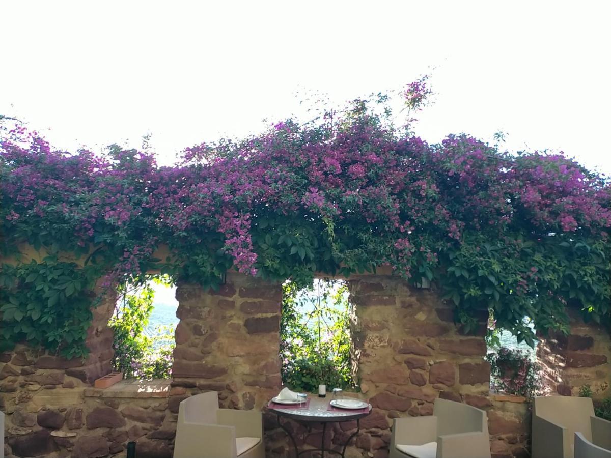 El Jardin Vertical Vilafamés Eksteriør billede