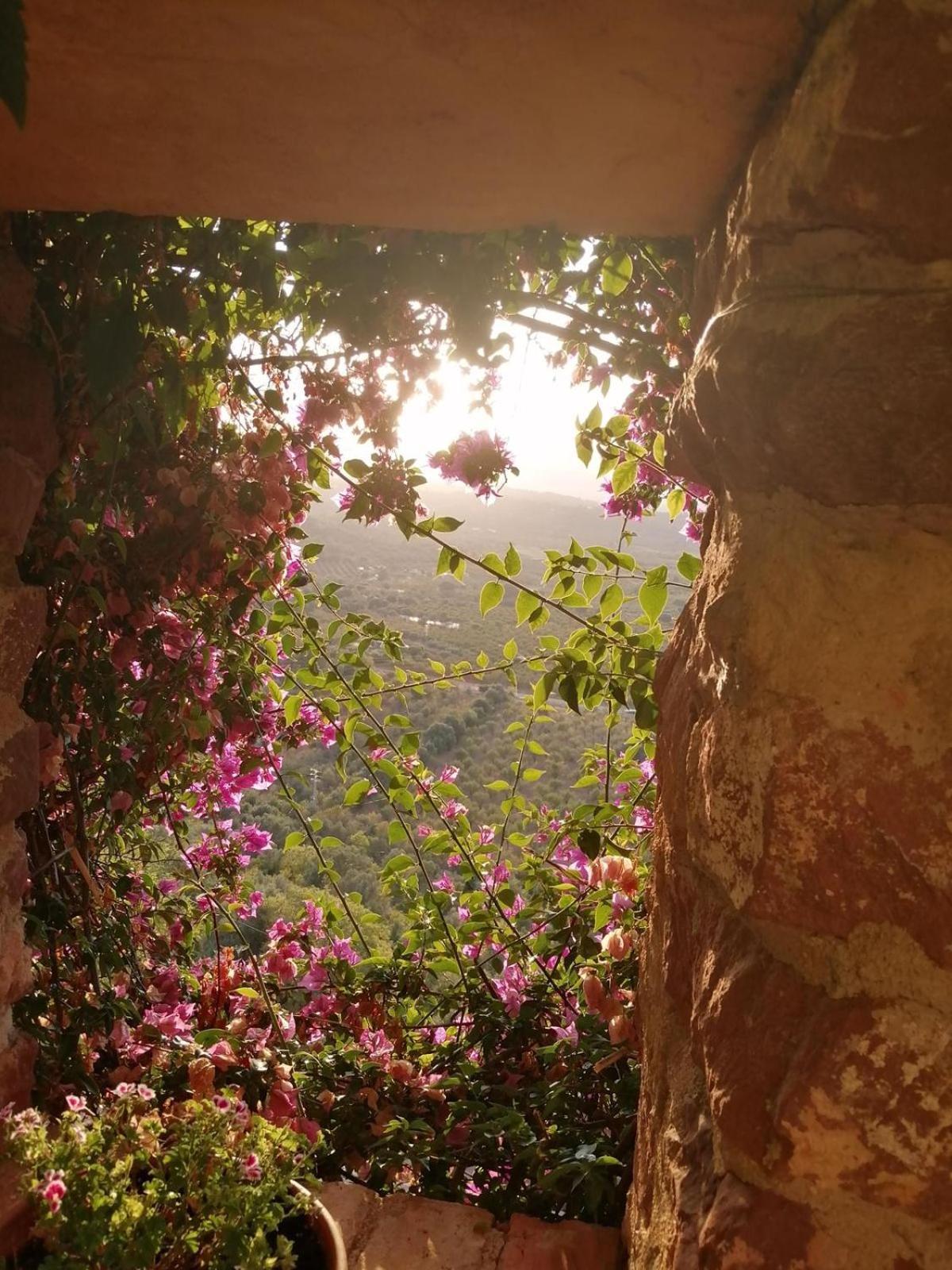 El Jardin Vertical Vilafamés Eksteriør billede